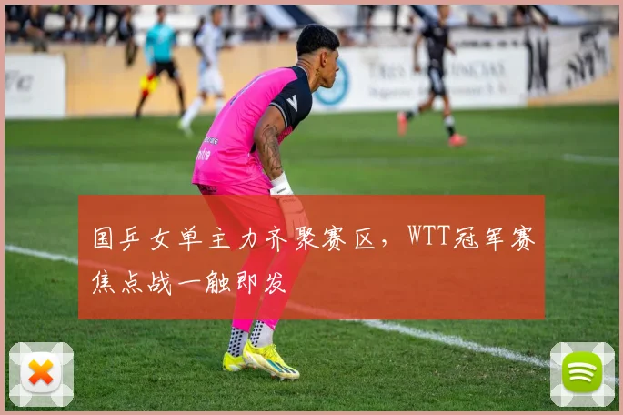 国乒女单主力齐聚赛区,WTT冠军赛焦点战一触即发