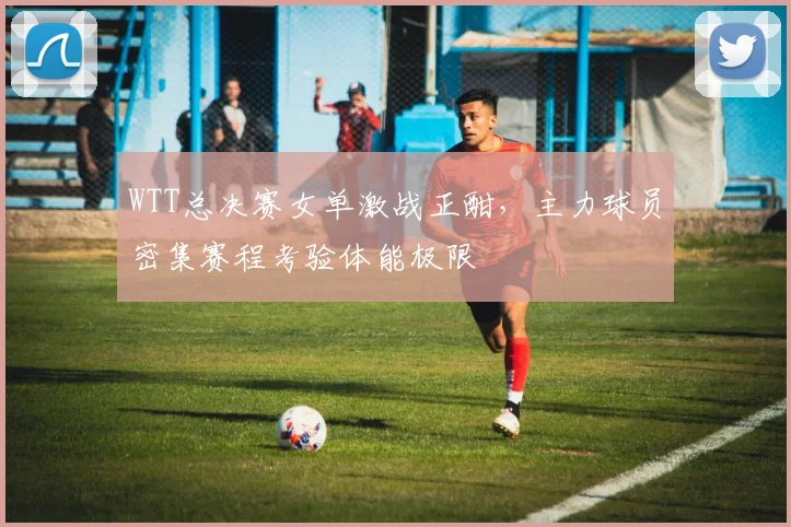 WTT总决赛女单激战正酣,主力球员密集赛程考验体能极限