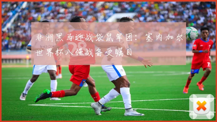非洲黑马迎战袋鼠军团:塞内加尔世界杯八强战备受瞩目